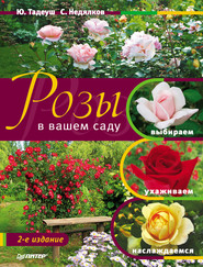 бесплатно читать книгу Розы в вашем саду. Выбираем, ухаживаем, наслаждаемся автора Стефан Недялков