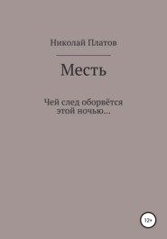 бесплатно читать книгу Месть автора Николай Платов