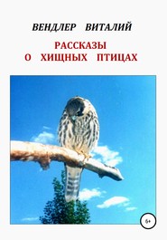 бесплатно читать книгу Рассказы о хищных птицах автора Виталий Вендлер
