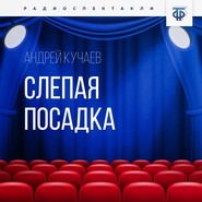 бесплатно читать книгу Слепая посадка автора Андрей Кучаев