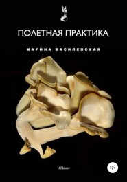 бесплатно читать книгу Полетная практика автора Марина Василевская*