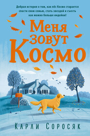 бесплатно читать книгу Меня зовут Космо автора Карли Соросяк