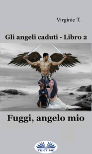 бесплатно читать книгу Fuggi, Angelo Mio автора Virginie T.