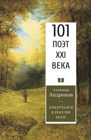 бесплатно читать книгу Заплутался в России поэт автора Александр Андронов
