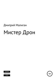 бесплатно читать книгу Мистер Дрон автора Дмитрий Малиган