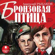 бесплатно читать книгу Бронзовая птица автора Анатолий Рыбаков