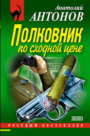 бесплатно читать книгу Полковник по сходной цене автора Анатолий Антонов