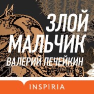 бесплатно читать книгу Злой мальчик автора Валерий Печейкин