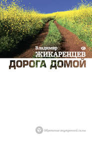 бесплатно читать книгу Дорога Домой автора Владимир Жикаренцев