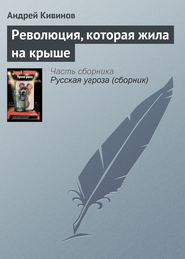 бесплатно читать книгу Революция, которая жила на крыше автора Андрей Кивинов