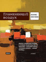 бесплатно читать книгу Пламенеющий воздух автора Борис Евсеев