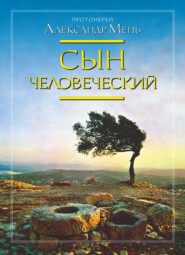 бесплатно читать книгу Сын Человеческий автора Александр Мень