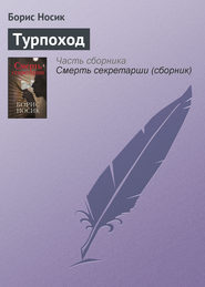 бесплатно читать книгу Турпоход автора Борис Носик