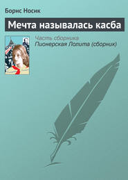 бесплатно читать книгу Мечта называлась касба автора Борис Носик