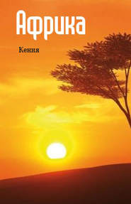 бесплатно читать книгу Восточная Африка: Кения автора Илья Мельников