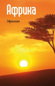 бесплатно читать книгу Восточная Африка: Эфиопия автора Илья Мельников