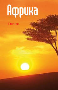 бесплатно читать книгу Западная Африка: Гвинея автора Илья Мельников