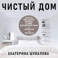 бесплатно читать книгу Чистый дом автора Екатерина Шувалова