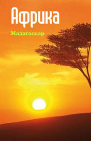 бесплатно читать книгу Республика Мадагаскар автора Илья Мельников