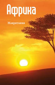 бесплатно читать книгу Северная Африка: Мавритания автора Илья Мельников