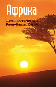 бесплатно читать книгу Демократическая Республика Конго автора Илья Мельников