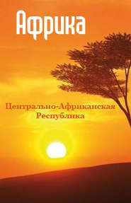 бесплатно читать книгу Центрально-Африканская Республика автора Илья Мельников