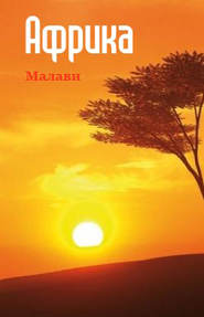 бесплатно читать книгу Южная Африка: Малави автора Илья Мельников