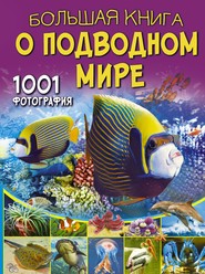 бесплатно читать книгу Большая книга о подводном мире. 1001 фотография автора Вячеслав Ликсо