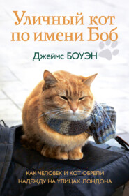 бесплатно читать книгу Уличный кот по имени Боб. Как человек и кот обрели надежду на улицах Лондона автора Джеймс Боуэн