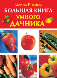 бесплатно читать книгу Большая книга умного дачника автора Галина Кизима