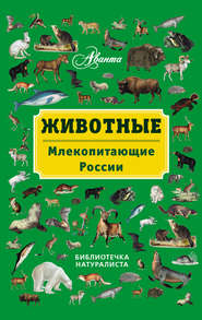 бесплатно читать книгу Животные. Млекопитающие России автора Владимир Бабенко