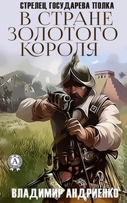 бесплатно читать книгу В стране золотого короля автора Владимир Андриенко