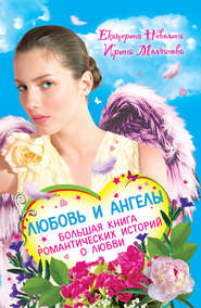 бесплатно читать книгу Дар ангела автора Екатерина Неволина