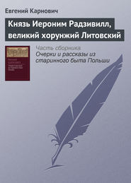 бесплатно читать книгу Князь Иероним Радзивилл, великий хорунжий Литовский автора Евгений Карнович