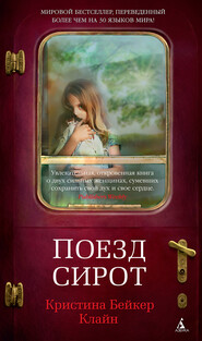 бесплатно читать книгу Поезд сирот автора Кристина Клайн