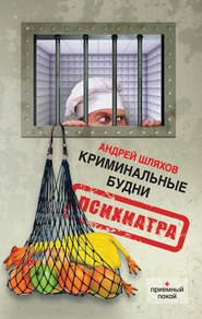 бесплатно читать книгу Криминальные будни психиатра автора Андрей Шляхов