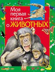 бесплатно читать книгу Моя первая книга о животных автора Алексей Никишин