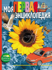 бесплатно читать книгу Моя первая энциклопедия автора Леонид Гальперштейн