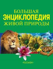 бесплатно читать книгу Большая энциклопедия живой природы автора Ирина Травина