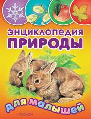 бесплатно читать книгу Энциклопедия природы для малышей автора Владимир Бабенко