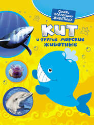 бесплатно читать книгу Кит и другие морские животные автора Екатерина Алексеева