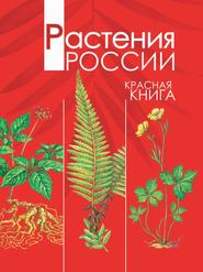 бесплатно читать книгу Растения России. Красная книга автора Александр Тихонов