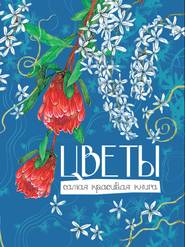 бесплатно читать книгу Цветы автора Олег Коровкин