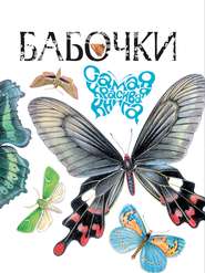 бесплатно читать книгу Бабочки автора Владимир Бабенко