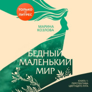 бесплатно читать книгу Бедный маленький мир. Книга 1. Перспектива цветущего луга автора Марина Козлова