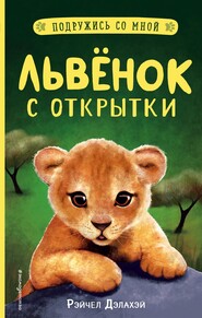 бесплатно читать книгу Львёнок с открытки автора Рэйчел Дэлахэй