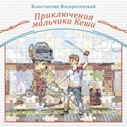 бесплатно читать книгу Приключения мальчика Кеши автора Константин Воскресенский