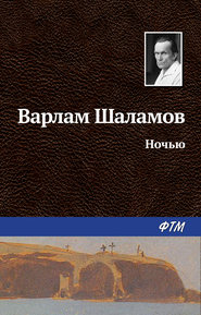 бесплатно читать книгу Ночью автора Варлам Шаламов