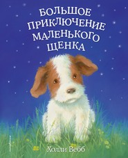 бесплатно читать книгу Большое приключение маленького щенка автора Холли Вебб