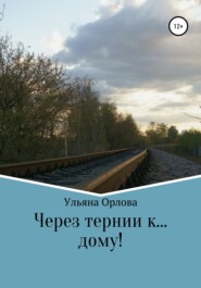 бесплатно читать книгу Через тернии к… дому автора Ульяна Орлова